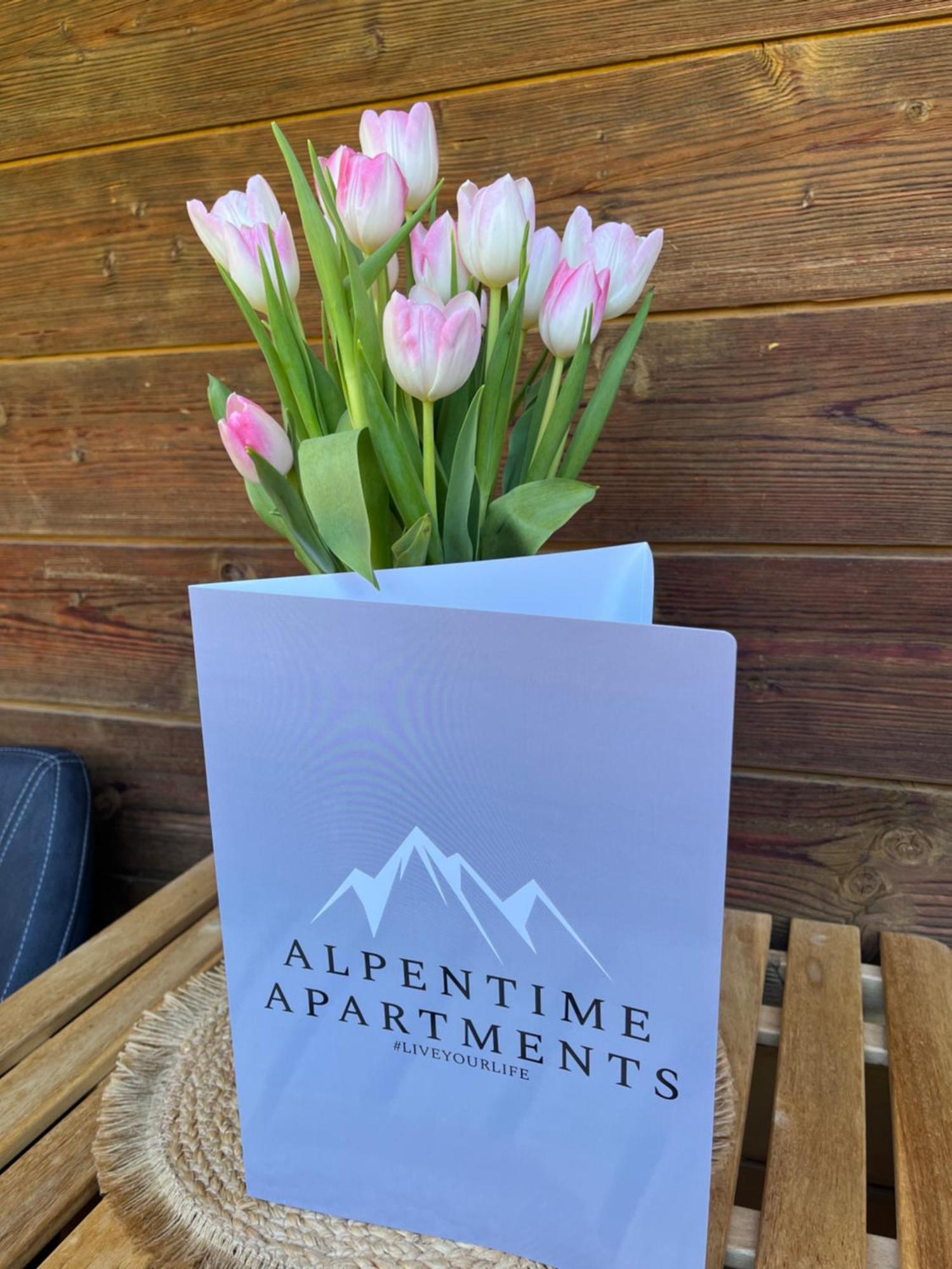 Alpentime Apartments Neustift im Stubaital Luaran gambar